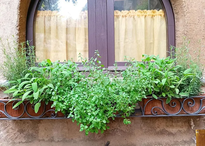 Hébergement de vacances Casa Con Giardino Privato A Due Passi Dal Duomo *